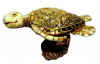 gold turtle1.jpg (34799 bytes)