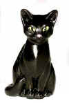 cat onyx.jpg (15216 bytes)