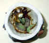 DSCN1957.JPG (69222 bytes)
