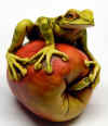 frog red apple.jpg (108409 bytes)
