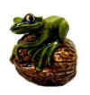 fw frog green1.jpg (5641 bytes)